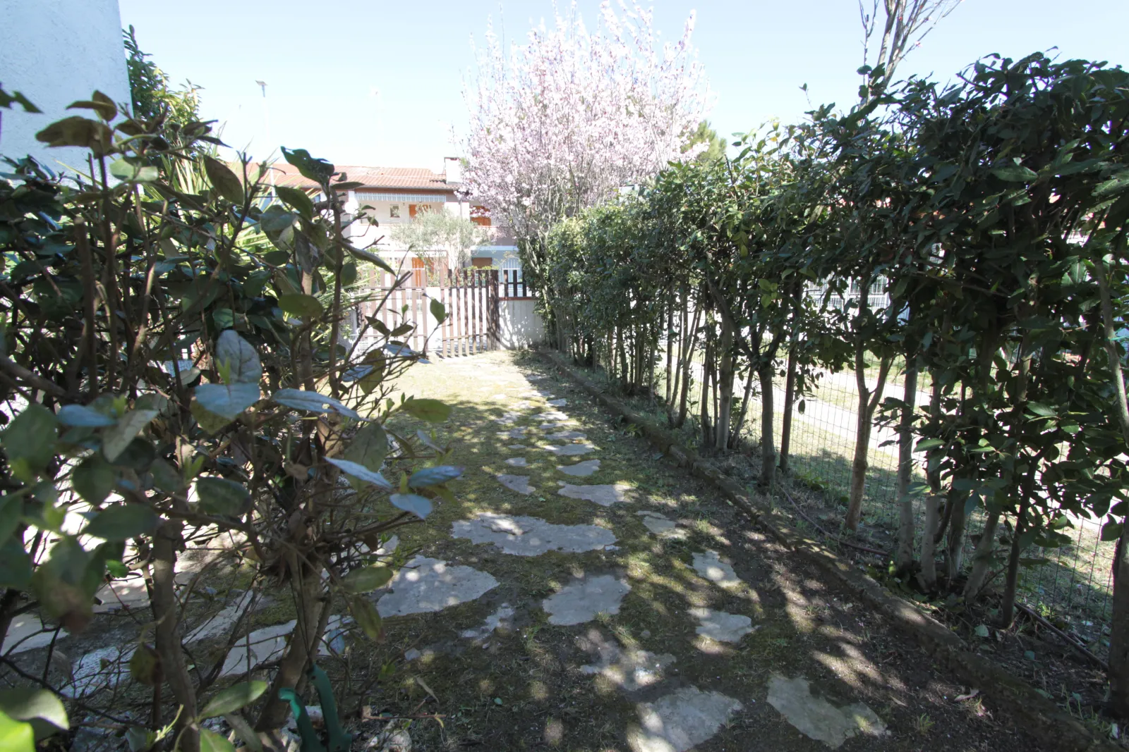 Trilocale in residence con piscina in affitto a Lido degli Scacchi